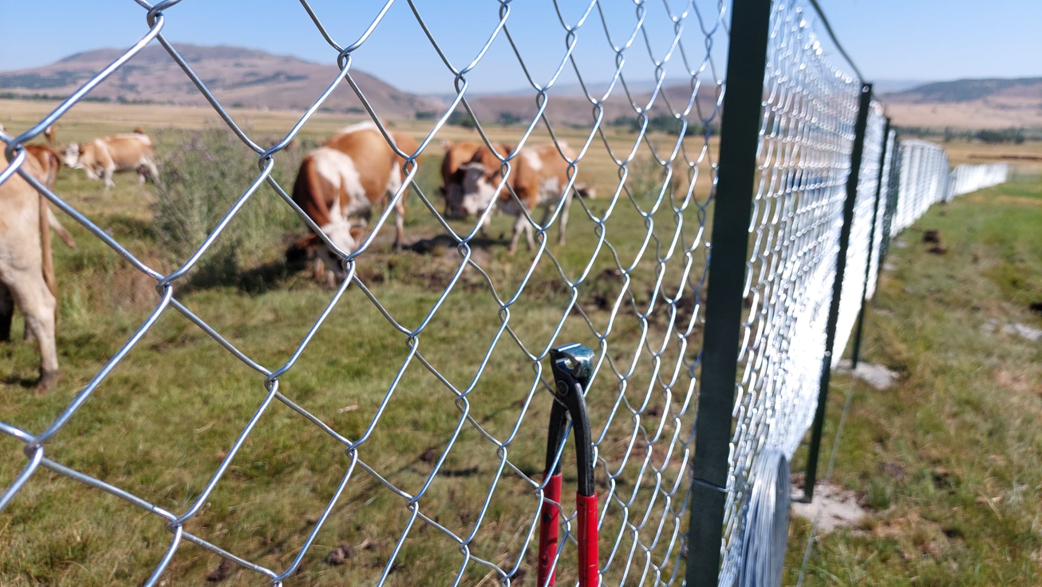Köşebent Çit Direkleri
